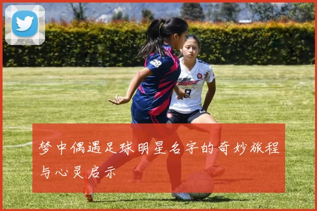 梦中偶遇足球明星名字的奇妙旅程与心灵启示