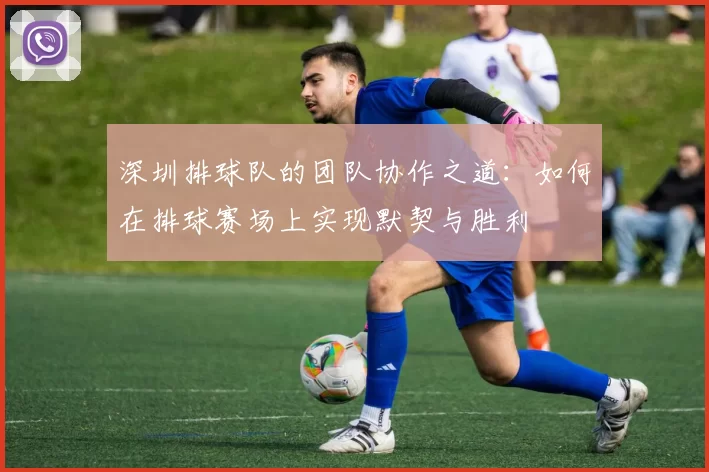 深圳排球队的团队协作之道：如何在排球赛场上实现默契与胜利