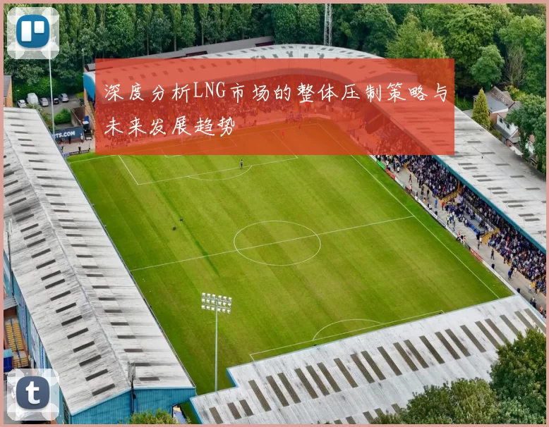 深度分析LNG市场的整体压制策略与未来发展趋势