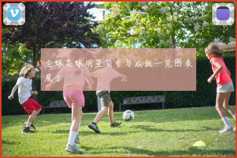 全球足球明星简介与成就一览图表展示