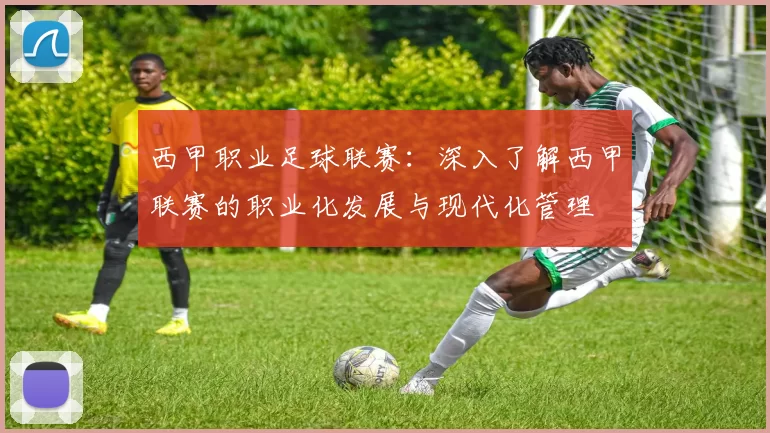 西甲职业足球联赛：深入了解西甲联赛的职业化发展与现代化管理