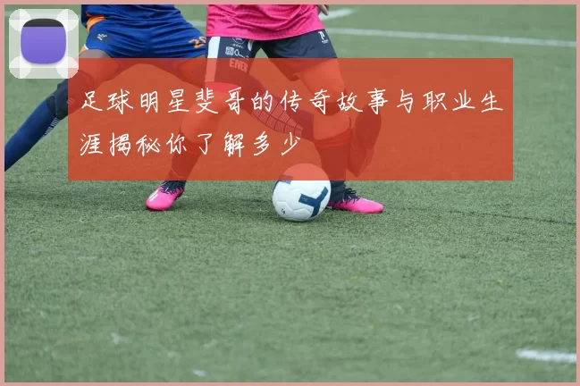 足球明星斐哥的传奇故事与职业生涯揭秘你了解多少