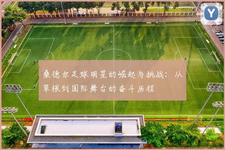 桑德尔足球明星的崛起与挑战：从草根到国际舞台的奋斗历程