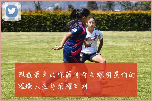 佩戴荣光的绿茵传奇足球明星们的璀璨人生与荣耀时刻