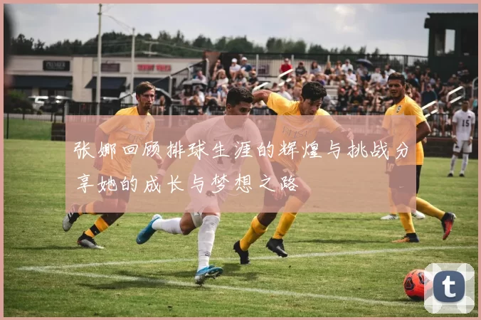 张娜回顾排球生涯的辉煌与挑战分享她的成长与梦想之路