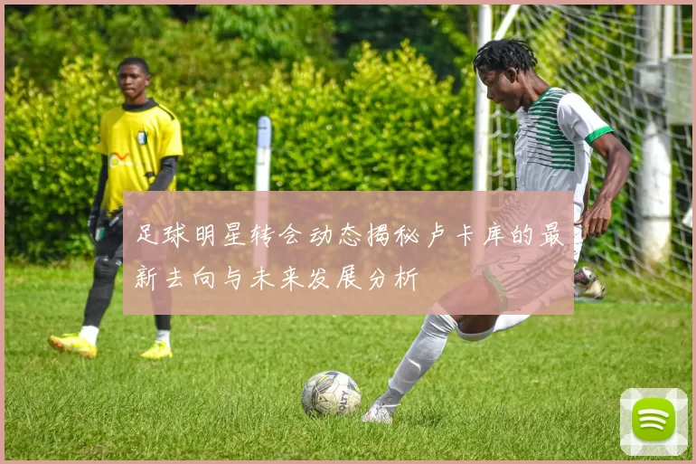 足球明星转会动态揭秘卢卡库的最新去向与未来发展分析