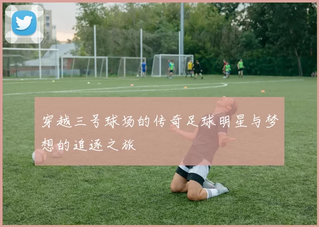 穿越三号球场的传奇足球明星与梦想的追逐之旅