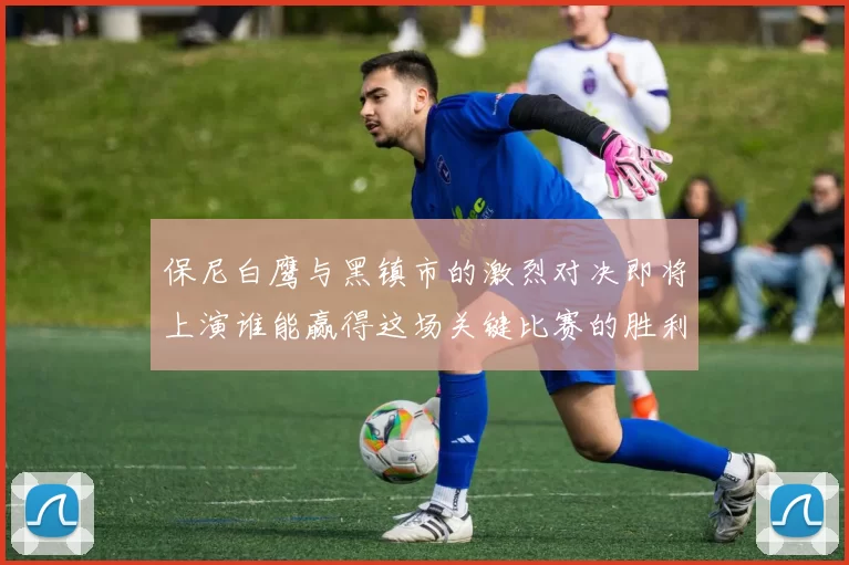 保尼白鹰与黑镇市的激烈对决即将上演谁能赢得这场关键比赛的胜利