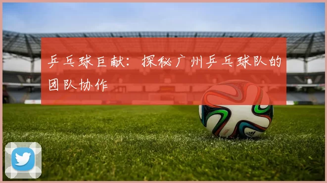 乒乓球巨献：探秘广州乒乓球队的团队协作