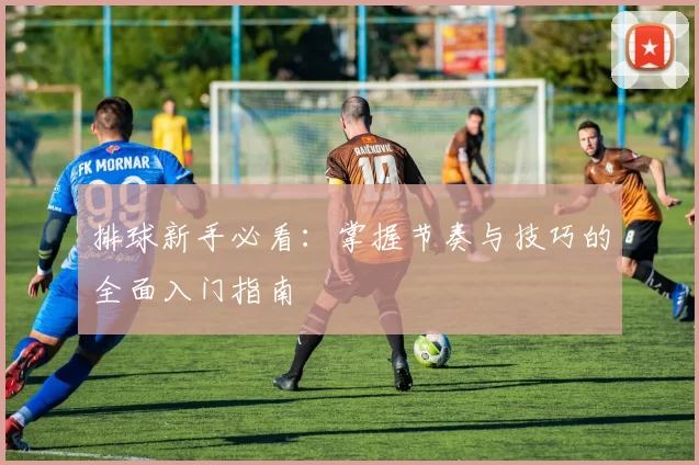 排球新手必看：掌握节奏与技巧的全面入门指南