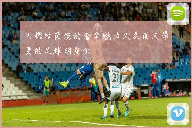 闪耀绿茵场的奢华魅力又美丽又昂贵的足球明星们